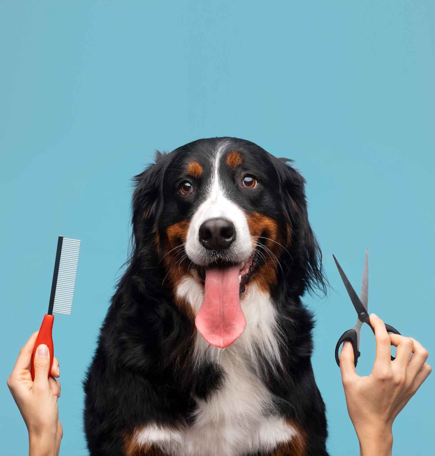 Academy of Grooming Arts