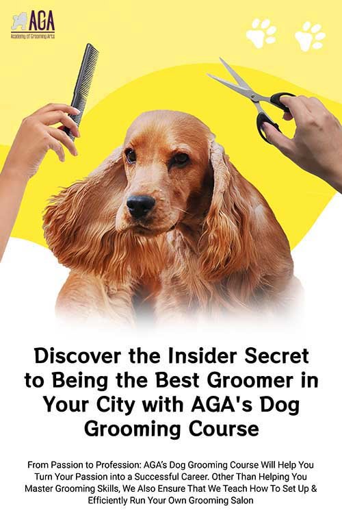 Academy of Grooming Arts